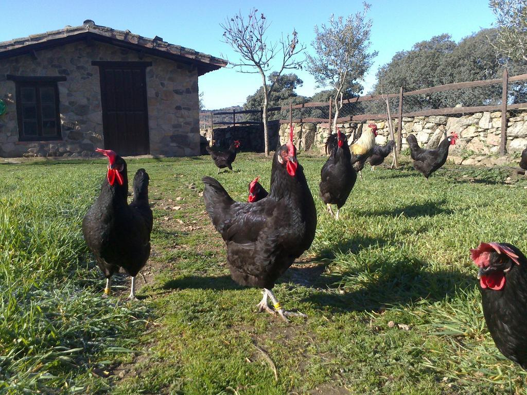 La Alqueria De Mamoles Konuk evi Dış mekan fotoğraf
